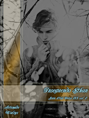 cover image of Inseguendo Ethan--Club Privè 185 Volume2